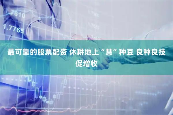 最可靠的股票配资 休耕地上“慧”种豆 良种良技促增收